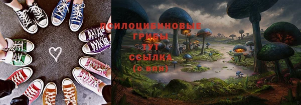 спайс Инта