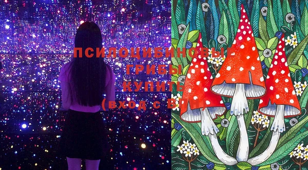 бошки Иннополис