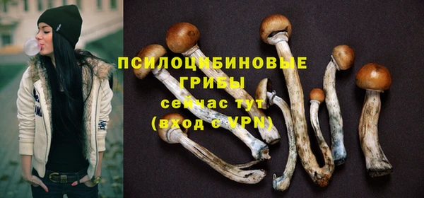 бошки Иннополис
