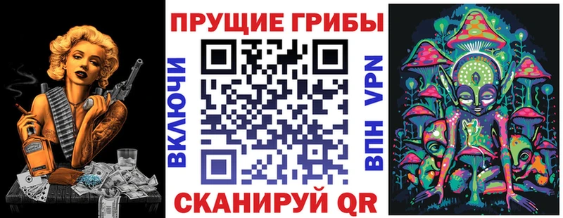 Купить где  Гаврилов-Ям  Псилоцибиновые грибы Psilocybine cubensis 